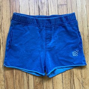 Jed North Shorts, Blue, Small